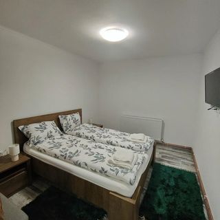 Smile Apartments Sighișoara (3)