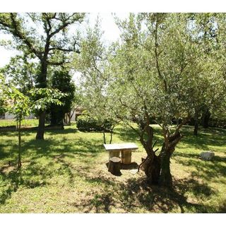 Cottage Gasparini Porec (4)