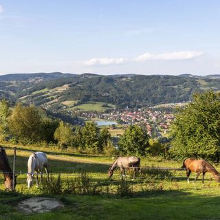 Domki Letniskowe Ranczo na Załpie Zbigniew Hojda (2)