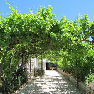 Apartments Pustijanac Porec (2)