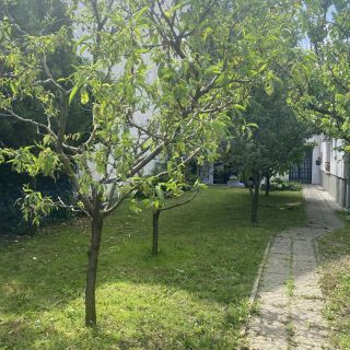 Repi-Tár Apartman Szolnok (5)