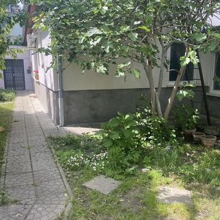 Repi-Tár Apartman Szolnok (4)