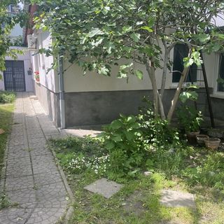 Repi-Tár Apartman Szolnok (4)