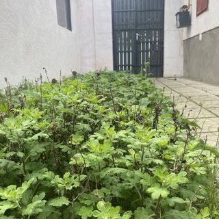 Repi-Tár Apartman Szolnok (5)