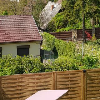 Borostyán Nyaralóház Fonyód (3)