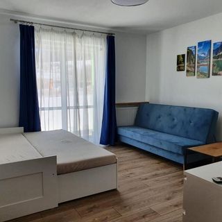 Apartament Tadeusz 2C Krynica-Zdrój (4)