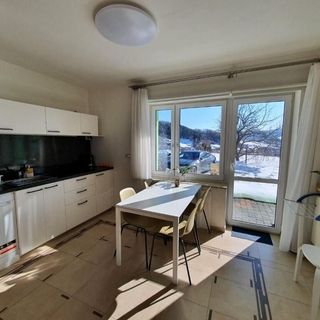 Apartament Tadeusz 2C Krynica-Zdrój (2)