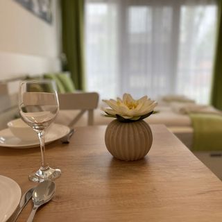 Siesta Apartman Balatonberény (3)