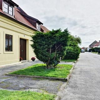 Pension Na Letním bytě i v zimě Kouřim (4)