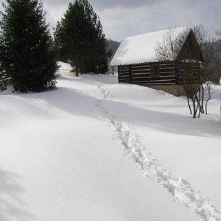 Chata Medzibrodie Mníšek nad Popradom (4)