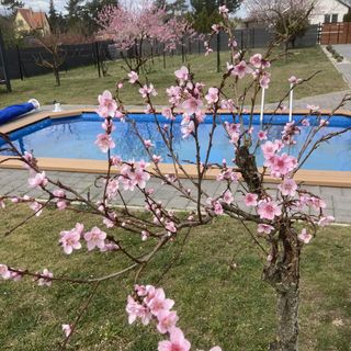 Loft Paradise Vendégház**** Győr (3)