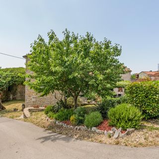 Vendégház Buje - Buie - CIC863 (5)