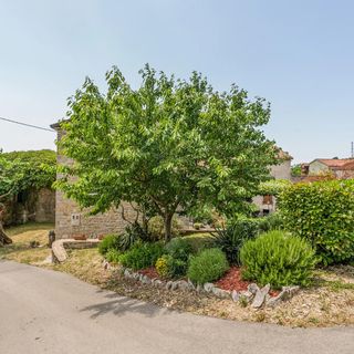 Vendégház Buje - Buie - CIC863 (5)