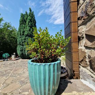 Bényécske Chill & Spa Erdőbénye (5)