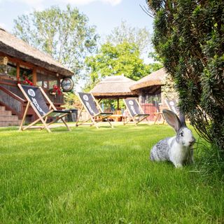 Nyuszis Apartman Kiskunmajsa (4)