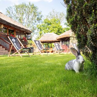 Nyuszis Apartman Kiskunmajsa (4)