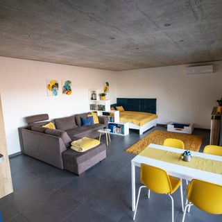 Dézsawood Apartman Pécs (3)