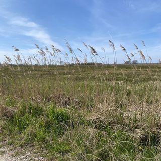 Morskie Oczko Żarnowska (4)