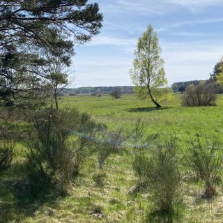 Morskie Oczko Żarnowska (5)