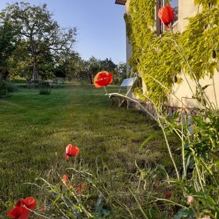 Kismadár Vendégház Felsőörs (2)