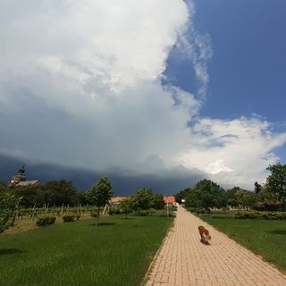 Kismadár Vendégház Felsőörs (3)