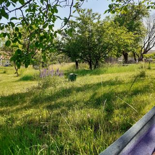 Kismadár Vendégház Felsőörs (4)