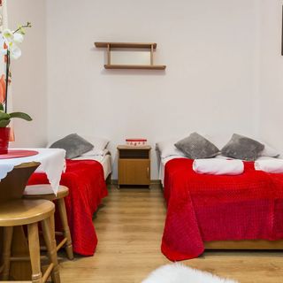 Willa Danuśka Zakopane (3)