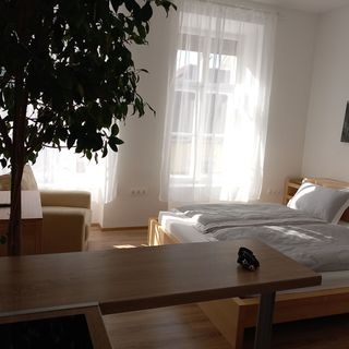 Korvin Plus Apartman Pápa (2)