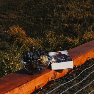 Elysium Cabin Someșu Rece (2)