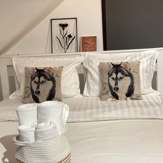 Chalet Husky Seciuri (4)