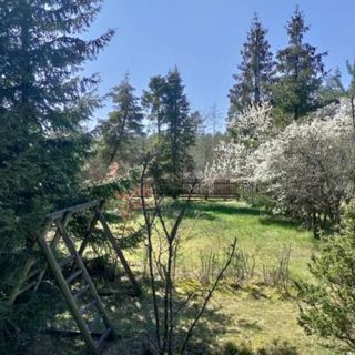 Widny Jaś Sulęczyno (2)