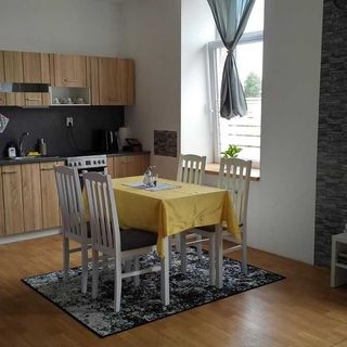 Apartmán Mostecká Týniště nad Orlicí (4)