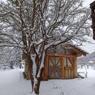 Cabana Mókus Câmpu Cetății (2)