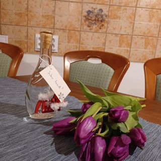 Cabana Mókus Câmpu Cetății (5)