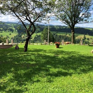 Domek Tatrzańska Zyngierka (3)