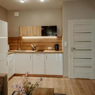 InforesPark Apartament 17a (5)