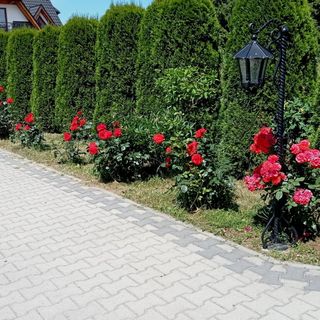 Dom Wypoczynkowy Maria Szumal  (2)