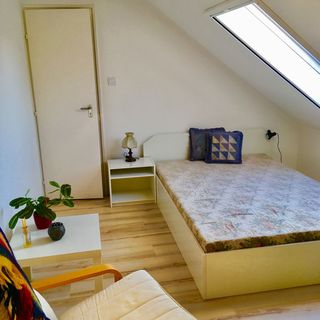 Kék Cédrus Vendégház Harkány (2)