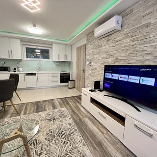 Lara Lux Apartment 2 Hajdúszoboszló (3)