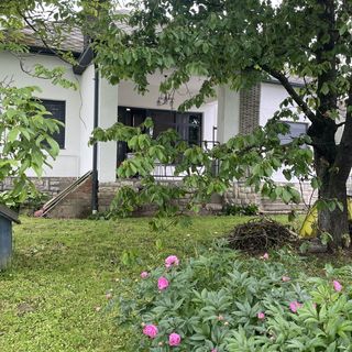 Mihók Vendégház Balatonkeresztúr (3)