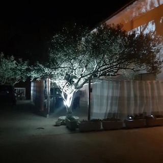 Apartmanok A Tenger Mellett Vir - 20163 (4)