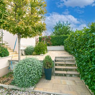 Apartmanok Parkolóhellyel Brela, Makarska - 20221 Brela (4)