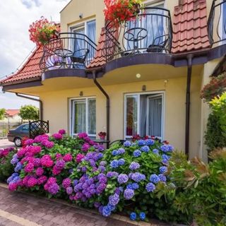 Willa Amber Rowy (4)