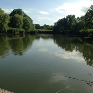 Pap-zugi Pihenőház Gyomaendrőd (4)