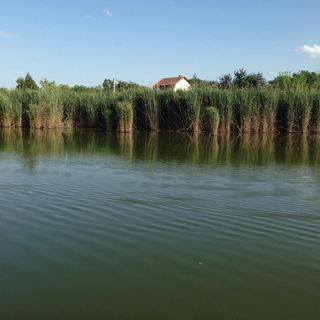 Pap-zugi Pihenőház Gyomaendrőd (5)