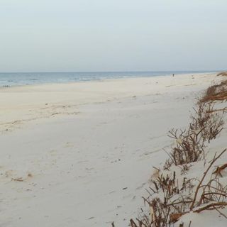 Domek Słoneczna Przystań Sasino (3)