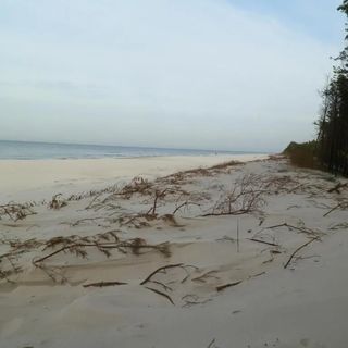 Domek Słoneczna Przystań Sasino (4)