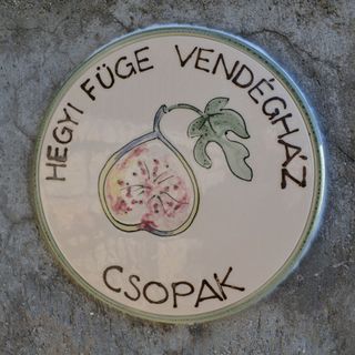 Hegyi Füge Vendégház Csopak (4)