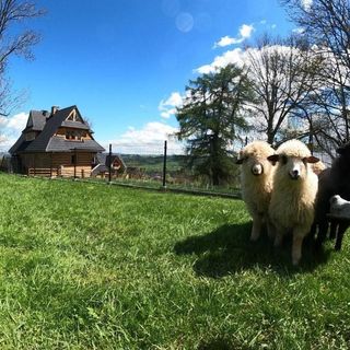Domek całoroczny Galicówka na Górce do 23 os. Biały Dunajec (4)