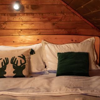 Biniște Tiny House by the River Dejani (4)